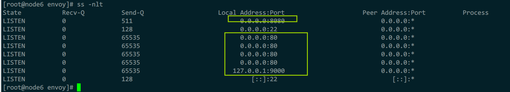 image-20231208142351156