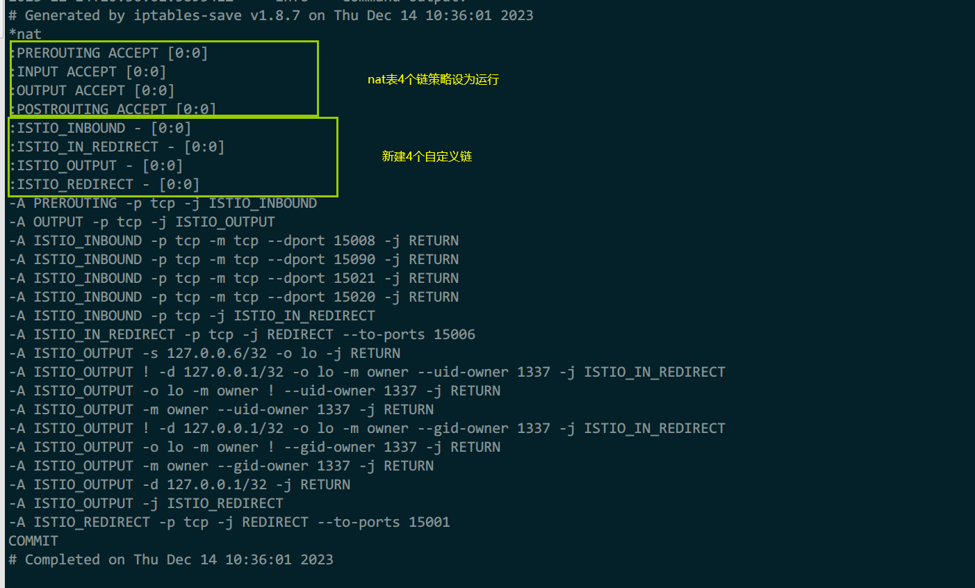 image-20231215201624693